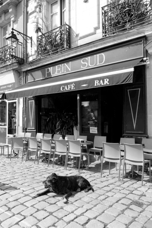 Straßencafé in Nantes